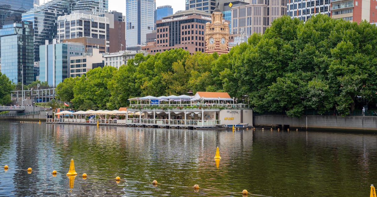 Navigating Vegan Options on Indian Menus Across Melbourne