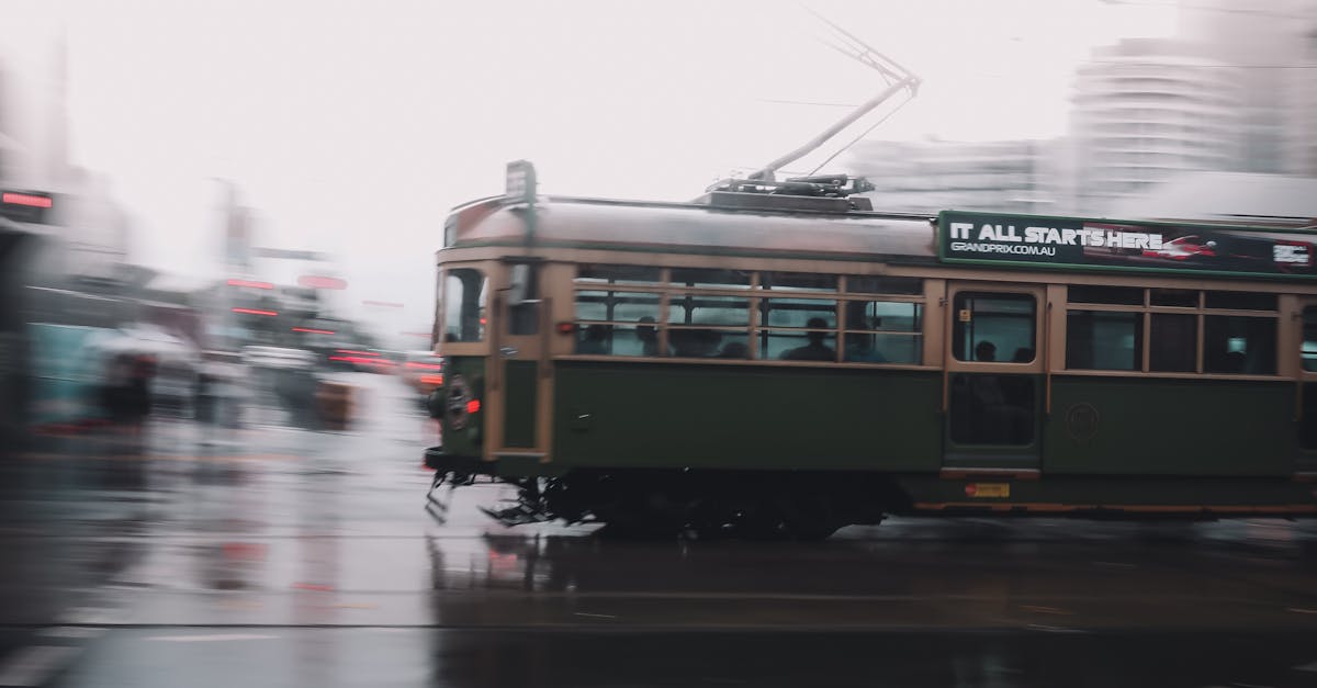 Tandoori Treasures: A Guide to Authentic Tandoori Meats