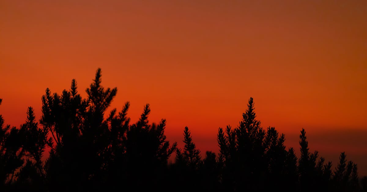 The Best Indian Eateries Within Walking Distance of Federation Square