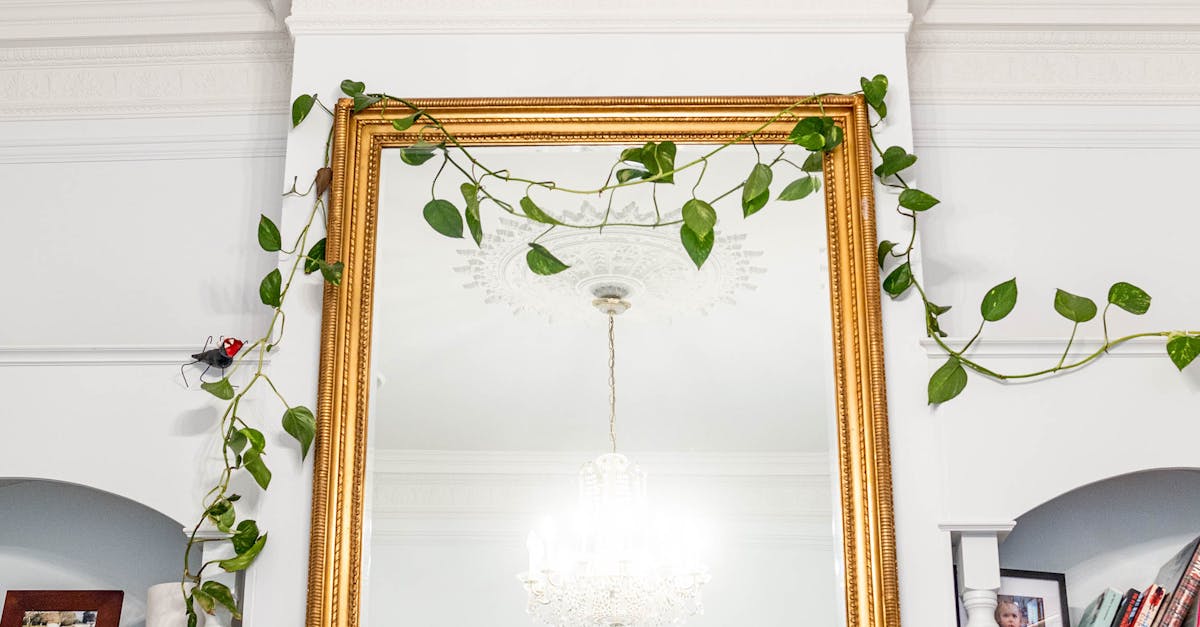 Unique Spinach and Cheese Dishes at Melbourne's Indian Eateries